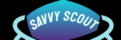The Savvy Scout